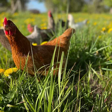 Hof Himmelgruen Saal