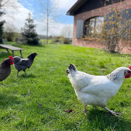 Hof Himmelgruen Saal