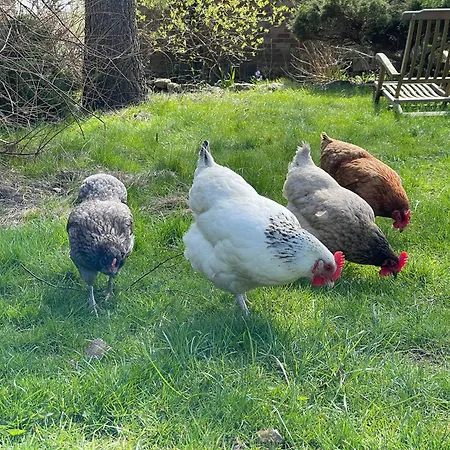 Hof Himmelgruen * Saal