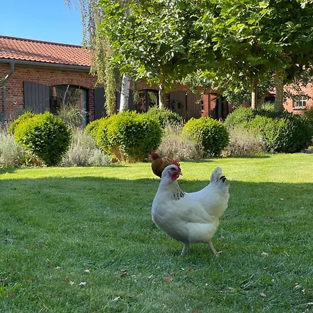 펜션 Hof Himmelgruen